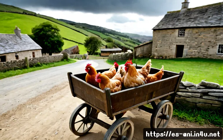 치킨 런  Chicken Run    치킨 런과 영국 농장 탈출 이야기 관련 이미지 1